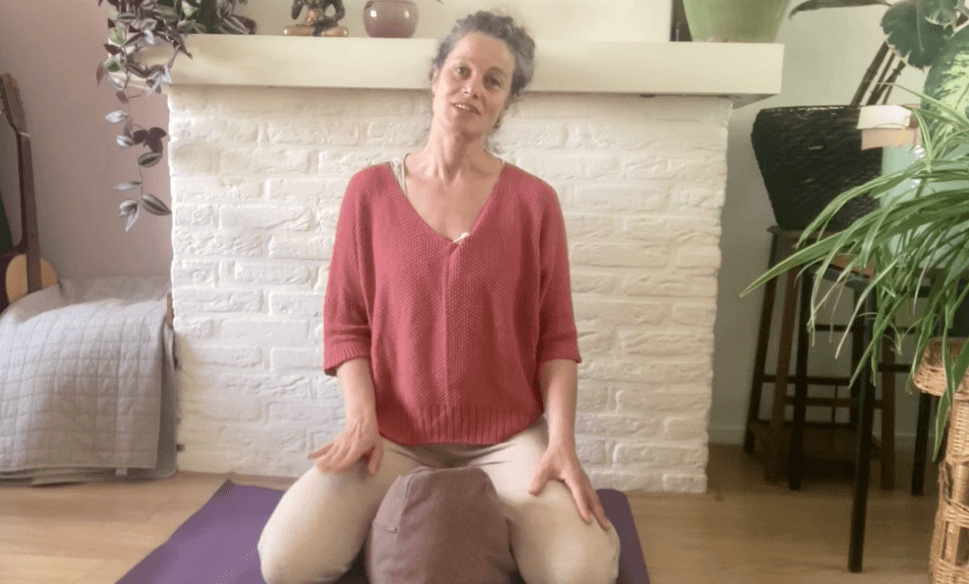 Een hoofd op pootjes